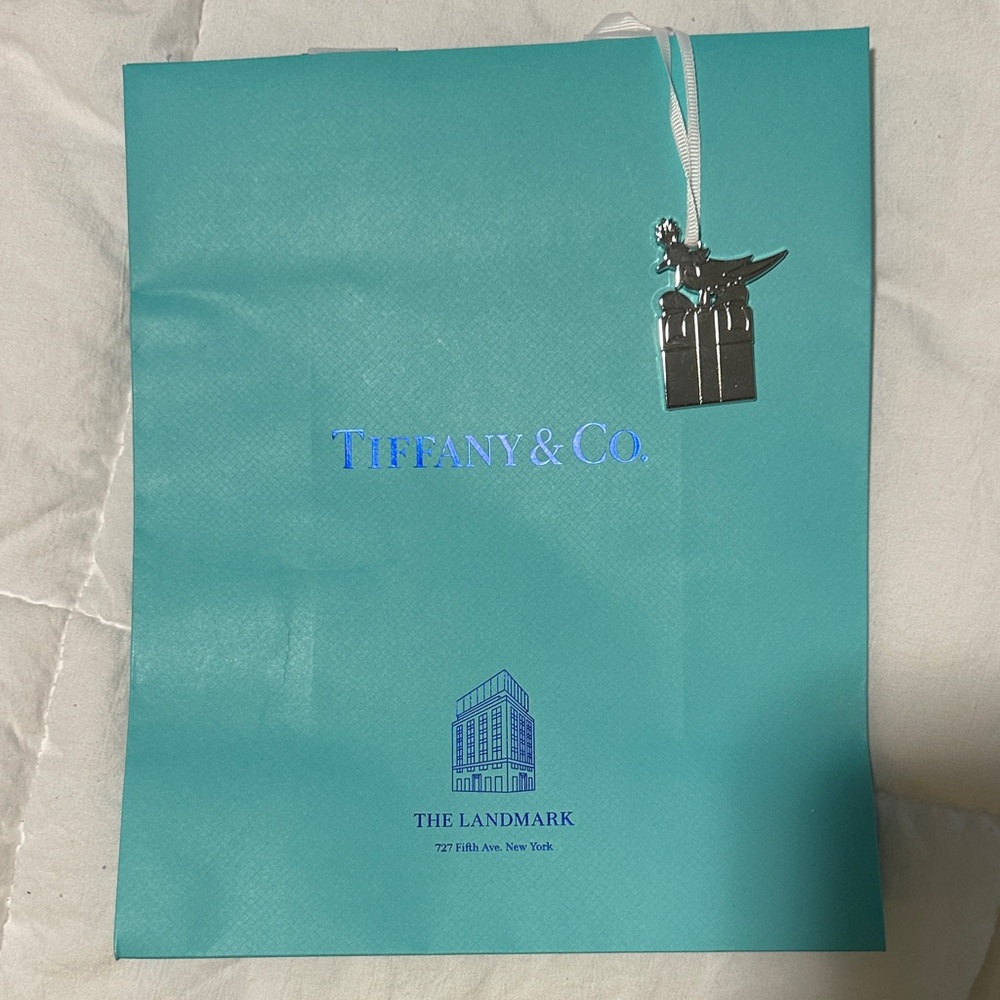 Tiffany & Co. Teal Shopping Bag with Silver Accents